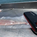 Perfect KickAss Products for an Off-Grid Fishing Trip - KickAss Products