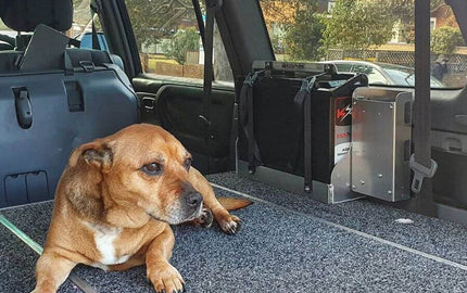Why You Need a Battery Tray - KickAss Products