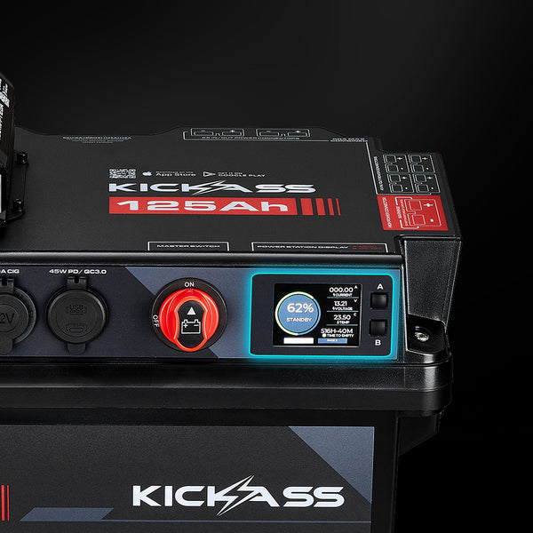 Integrated LCD Battery Monitor 