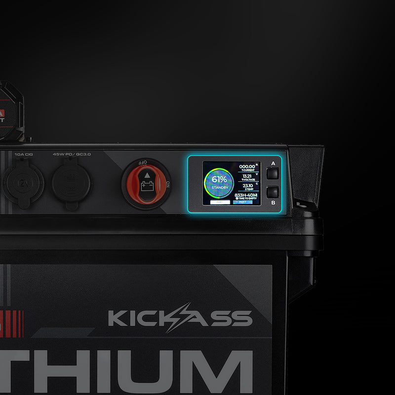 Integrated LCD Battery Monitor 