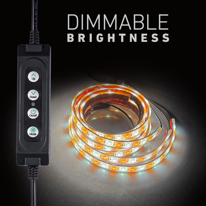 Dimmable Brightness  