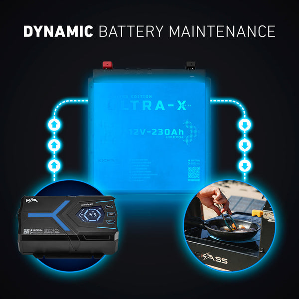 Dynamic Battery Maintenance 