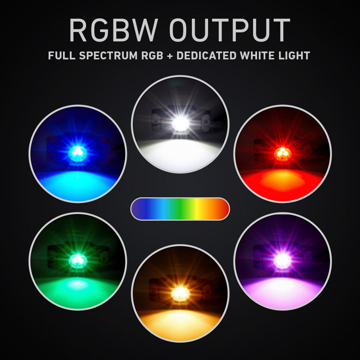 RGBW Output – Full Spectrum RGB + Dedicated White Light 