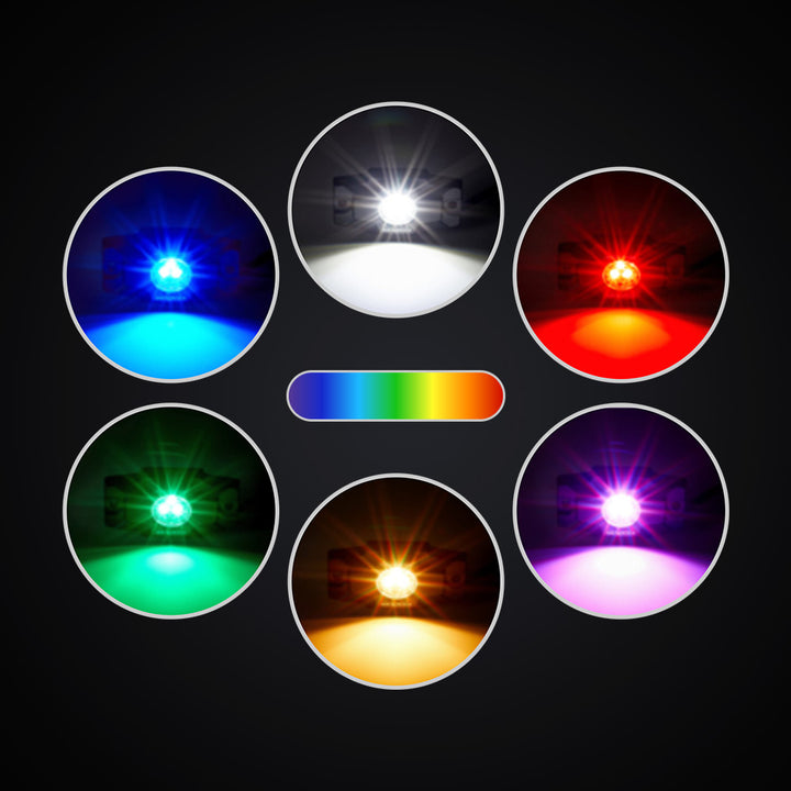 RGBW Output – Full Spectrum RGB + Dedicated White Light 