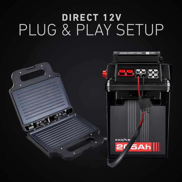 Direct 12V Plug & Play Setup 