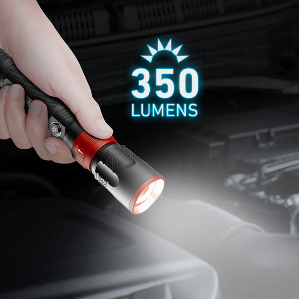 350 Lumens of Bright, Reliable Light 