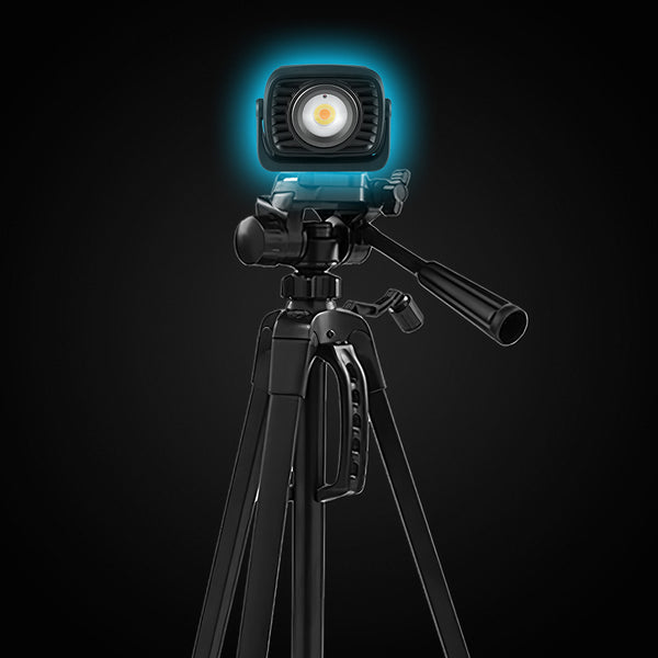 Mounts to tripods & lighting brackets  