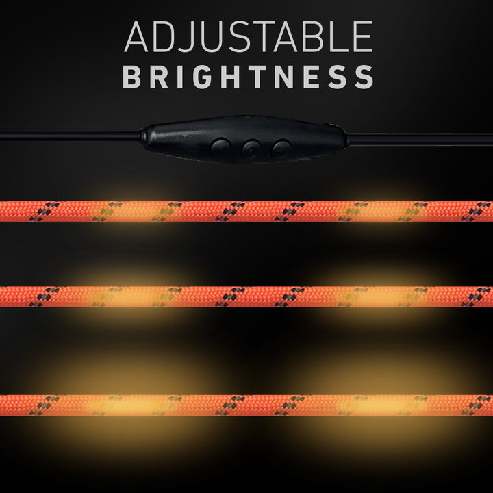 Adjustable Brightness Control 