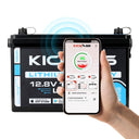 KickAss ProductsKickAss Smart 12V 120Ah Lithium Deep Cycle Battery LiFePO4KA12120X - LION
